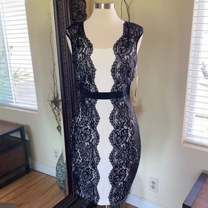 Lace Cocktail Dress.